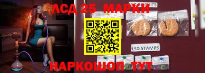 MDMA Гатчина