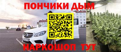 крисы Абакан