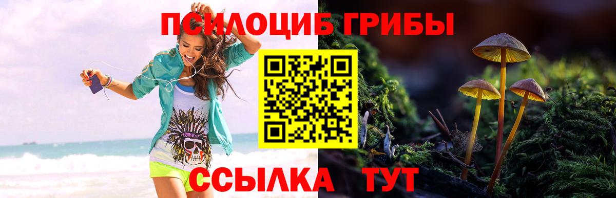 Галлюциногенные грибы GOLDEN TEACHER  закладка  Ногинск  Вход с VPN 